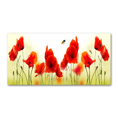 Foto schilderij op glas Klaprozen