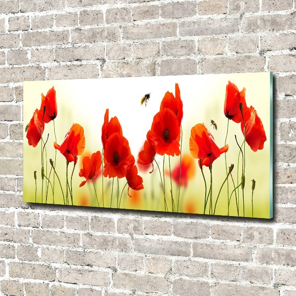 Foto schilderij op glas Klaprozen