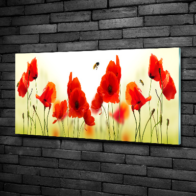 Foto schilderij op glas Klaprozen