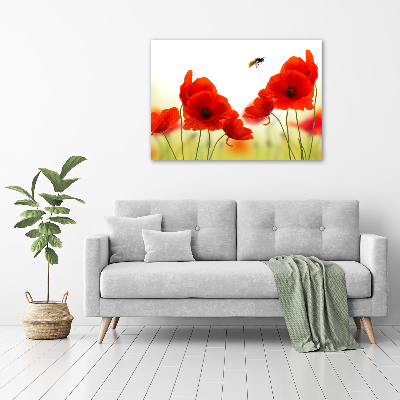 Foto schilderij op glas Klaprozen