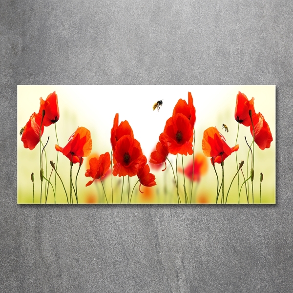 Foto schilderij op glas Klaprozen