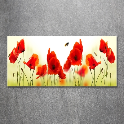 Foto schilderij op glas Klaprozen