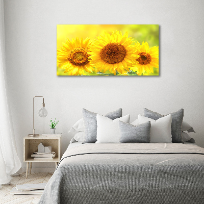 Schilderij op glas Zonnebloemen