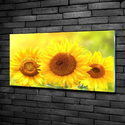Schilderij op glas Zonnebloemen