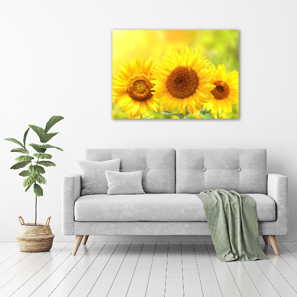 Schilderij op glas Zonnebloemen