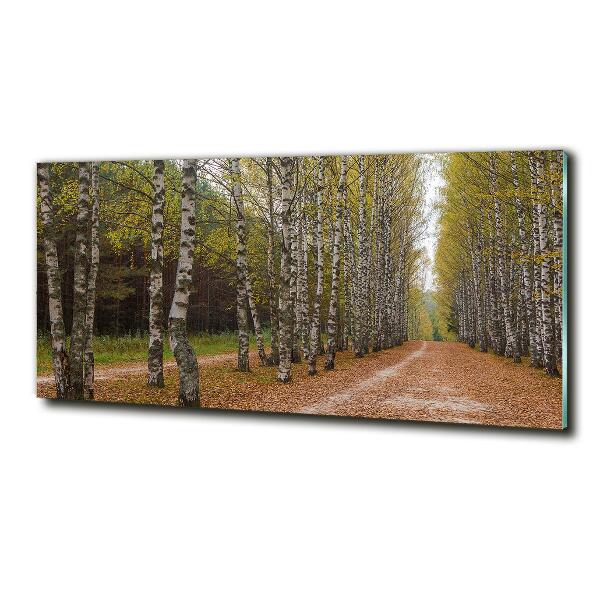 Glazen schilderij Berkenlaan