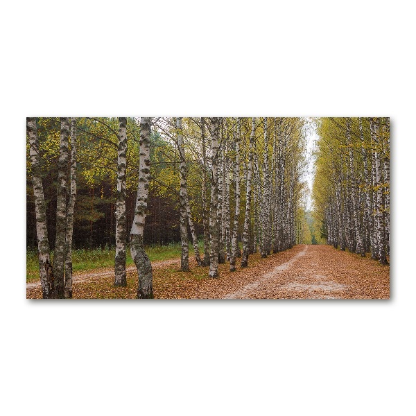 Glazen schilderij Berkenlaan