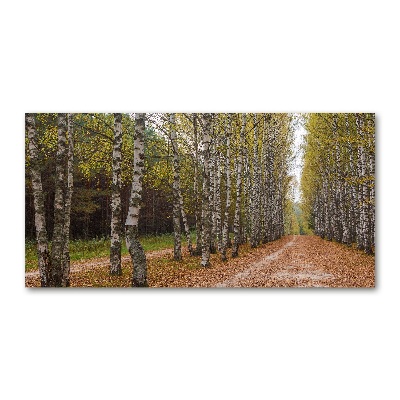 Glazen schilderij Berkenlaan