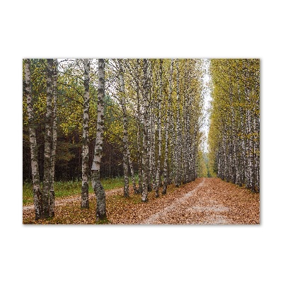 Glazen schilderij Berkenlaan