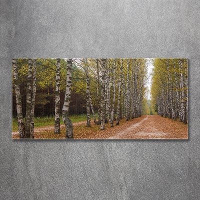 Glazen schilderij Berkenlaan