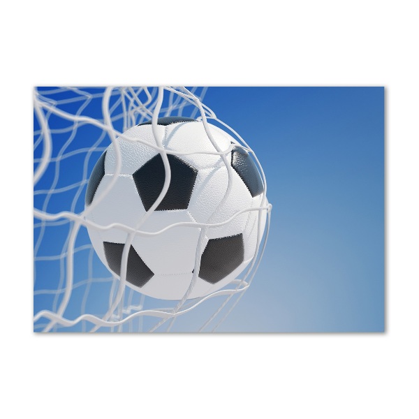 Schilderij op glas De bal ligt in het doel.