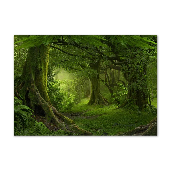 Glazen schilderij Tropische jungle