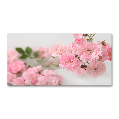 Glazen schilderij Wilde rozen