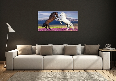 Foto schilderij op glas Vechtende paarden van de bergen