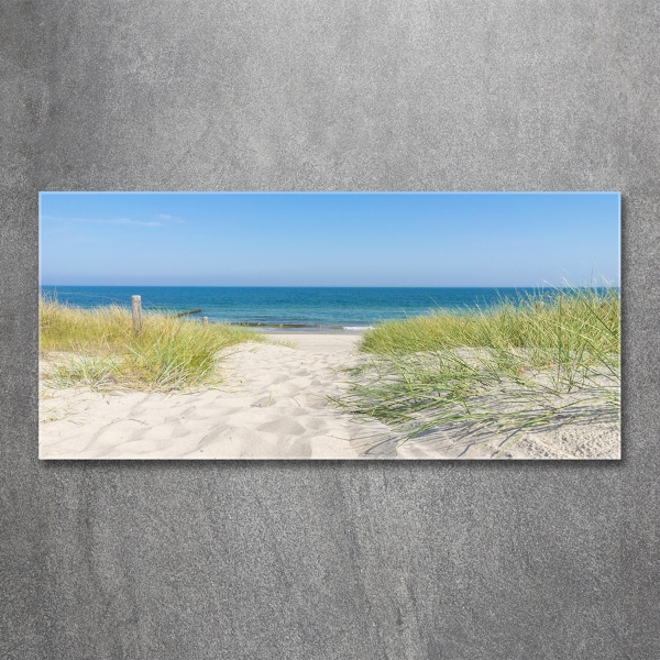 Foto schilderij op glas duinen aan zee