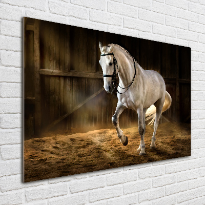 Schilderij op glas Wit paard in de stal