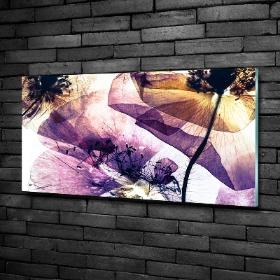 Schilderij glas Droge klaprozen