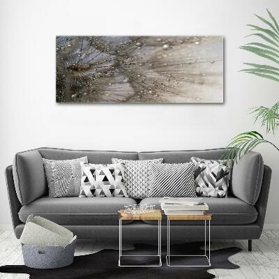 Foto schilderij op glas Paardenbloemzaden