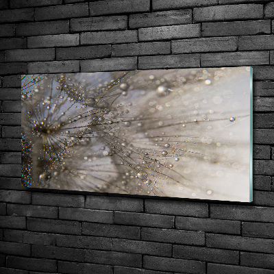 Foto schilderij op glas Paardenbloemzaden