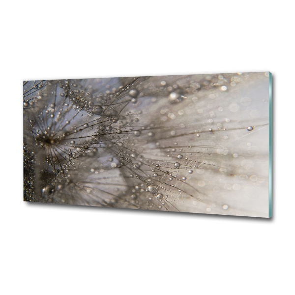 Foto schilderij op glas Paardenbloemzaden