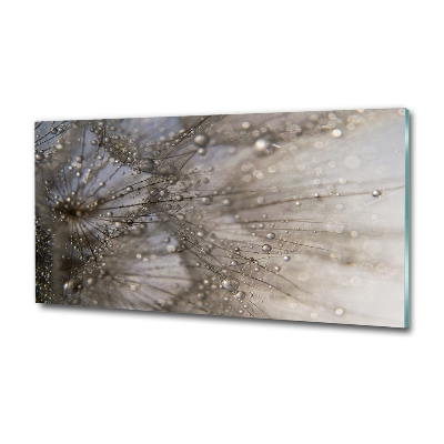 Foto schilderij op glas Paardenbloemzaden