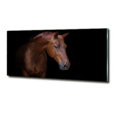 Schilderij glas Bruin paard