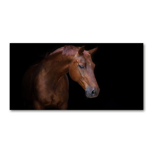Schilderij glas Bruin paard