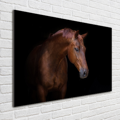 Schilderij glas Bruin paard