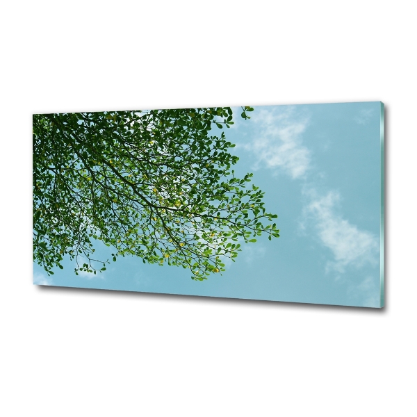 Schilderij op glas Bladeren in de lucht