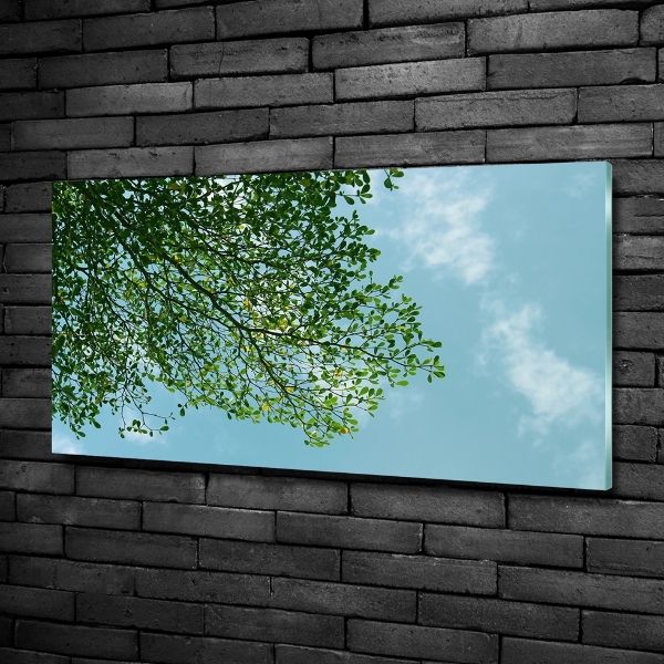 Schilderij op glas Bladeren in de lucht