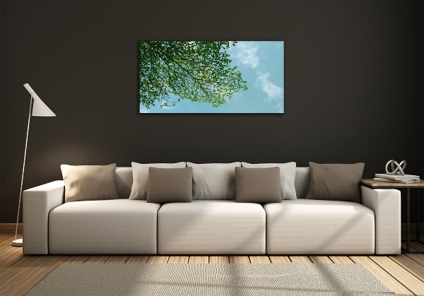 Schilderij op glas Bladeren in de lucht