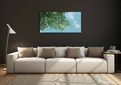 Schilderij op glas Bladeren in de lucht