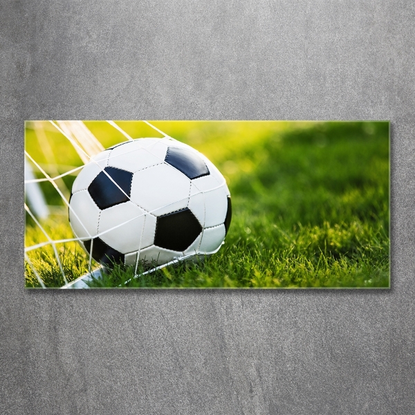 Foto schilderij op glas De bal ligt in het doel.