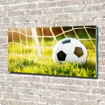 Schilderij op glas De bal ligt in het doel.