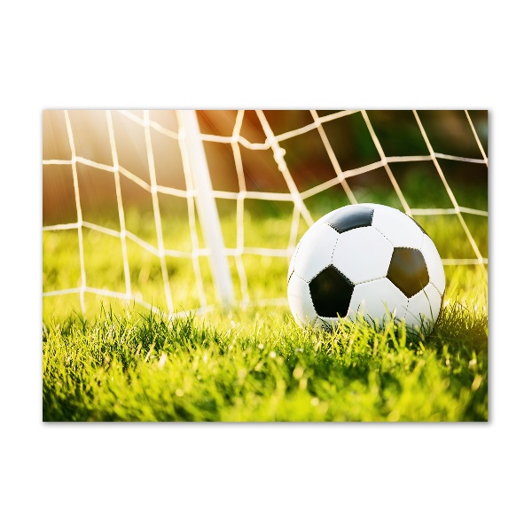 Schilderij op glas De bal ligt in het doel.