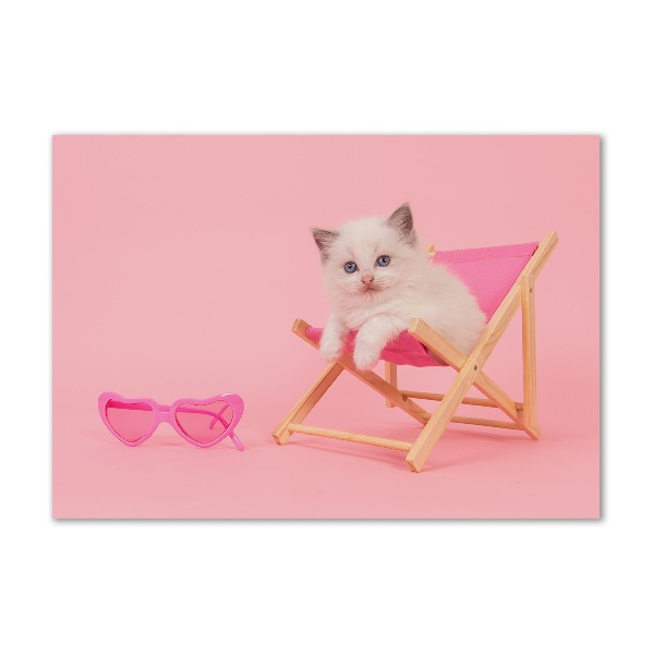 Foto schilderij op glas Kat op een ligstoel
