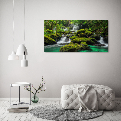 Schilderij op glas Waterval in het bos