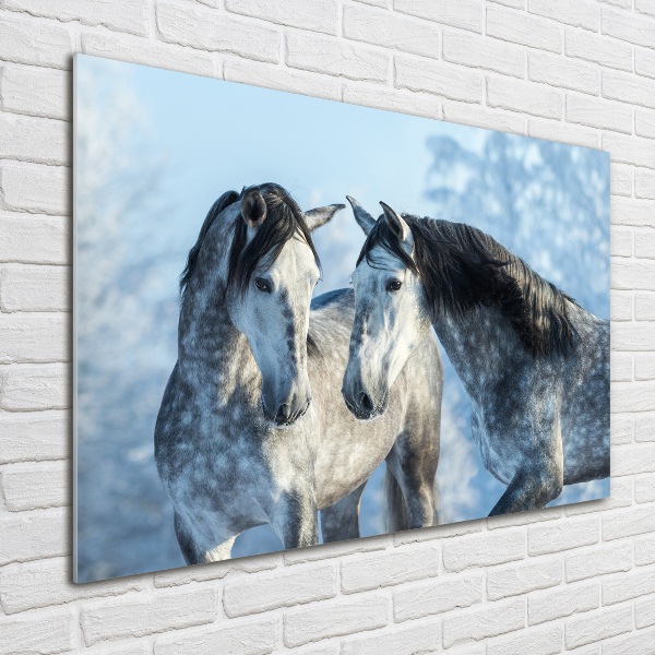 Schilderij op glas Grijze paarden in de winter