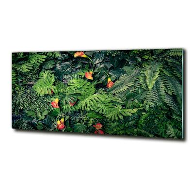 Schilderij op glas Exotische jungle