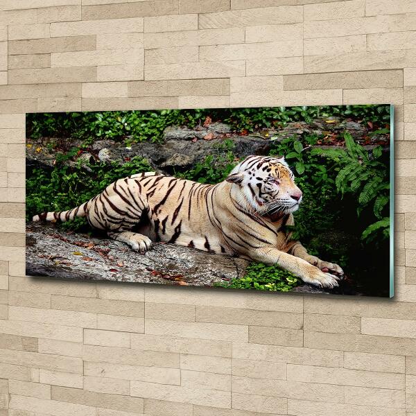Glazen schilderij Tijger op een rots