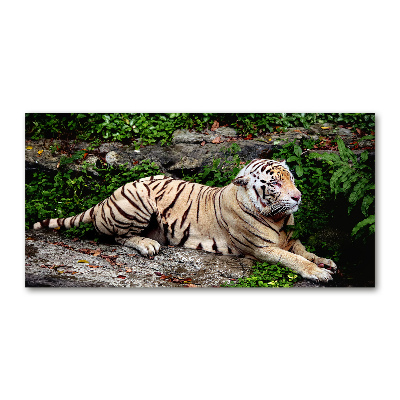 Glazen schilderij Tijger op een rots