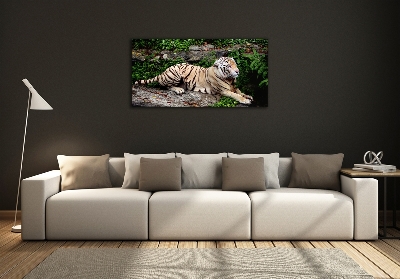 Glazen schilderij Tijger op een rots