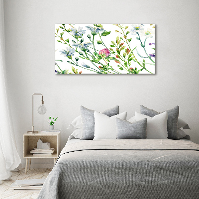 Foto schilderij op glas Wilde bloemen