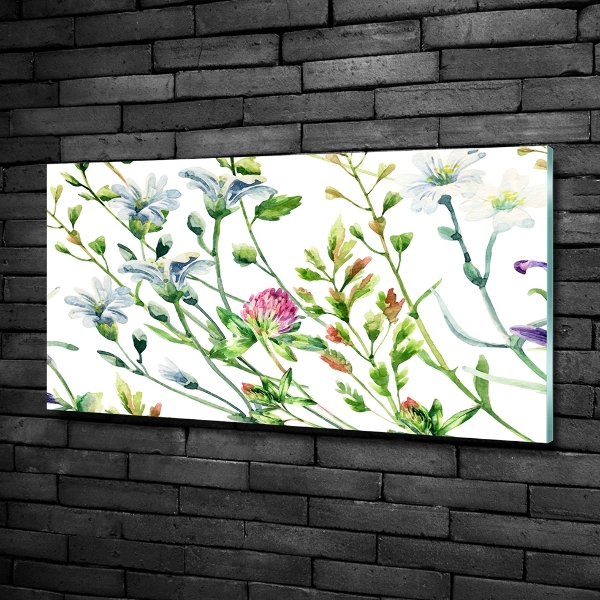 Foto schilderij op glas Wilde bloemen