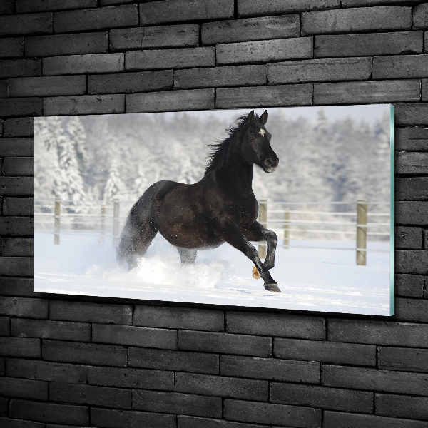Schilderij glas Een paard dat galoppeert in de sneeuw