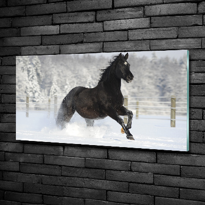 Schilderij glas Een paard dat galoppeert in de sneeuw