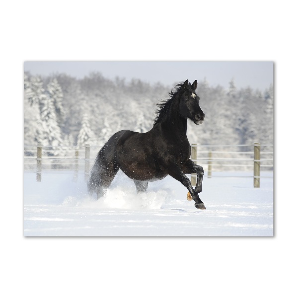 Schilderij glas Een paard dat galoppeert in de sneeuw