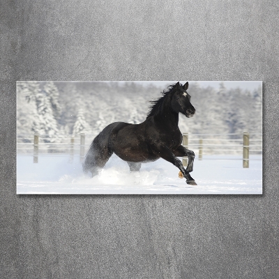 Schilderij glas Een paard dat galoppeert in de sneeuw