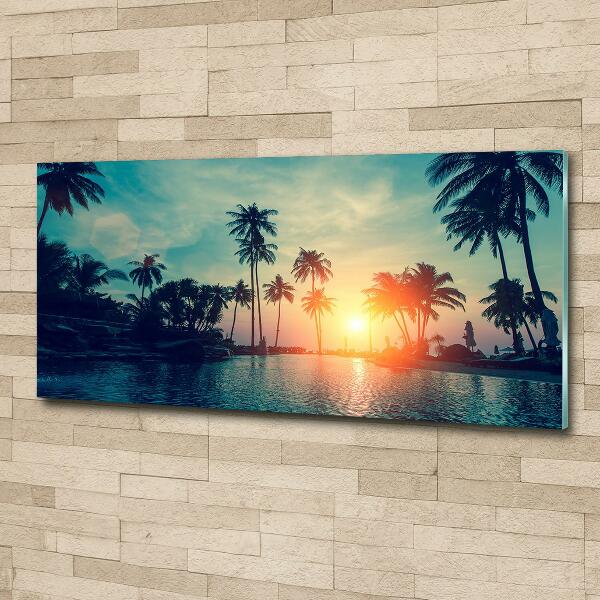 Schilderij glas Palm Sunset