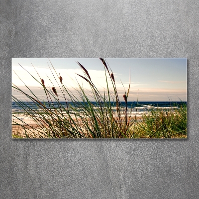 Schilderij glas duinen aan zee